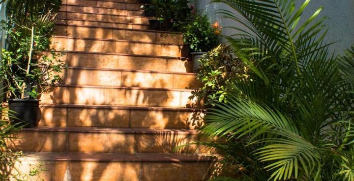Hotel Phoenix Koregaon Park Pune Eksteriør billede